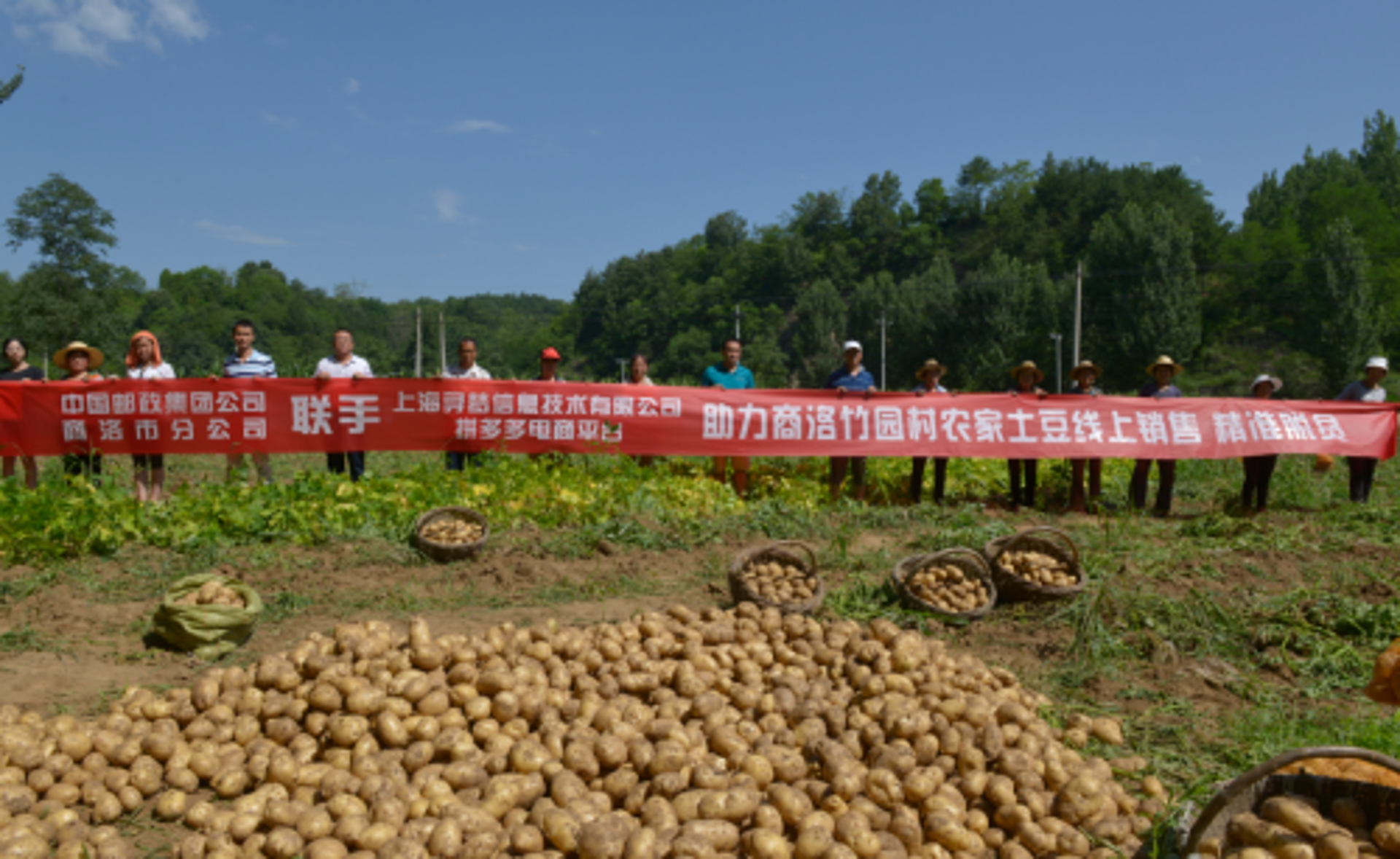 红多多科技